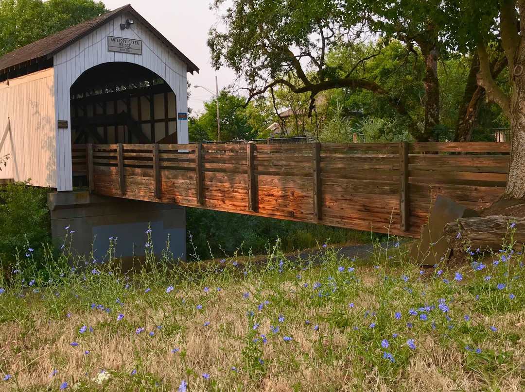 Antelope Creek Bridge-Eagle Point必去景点