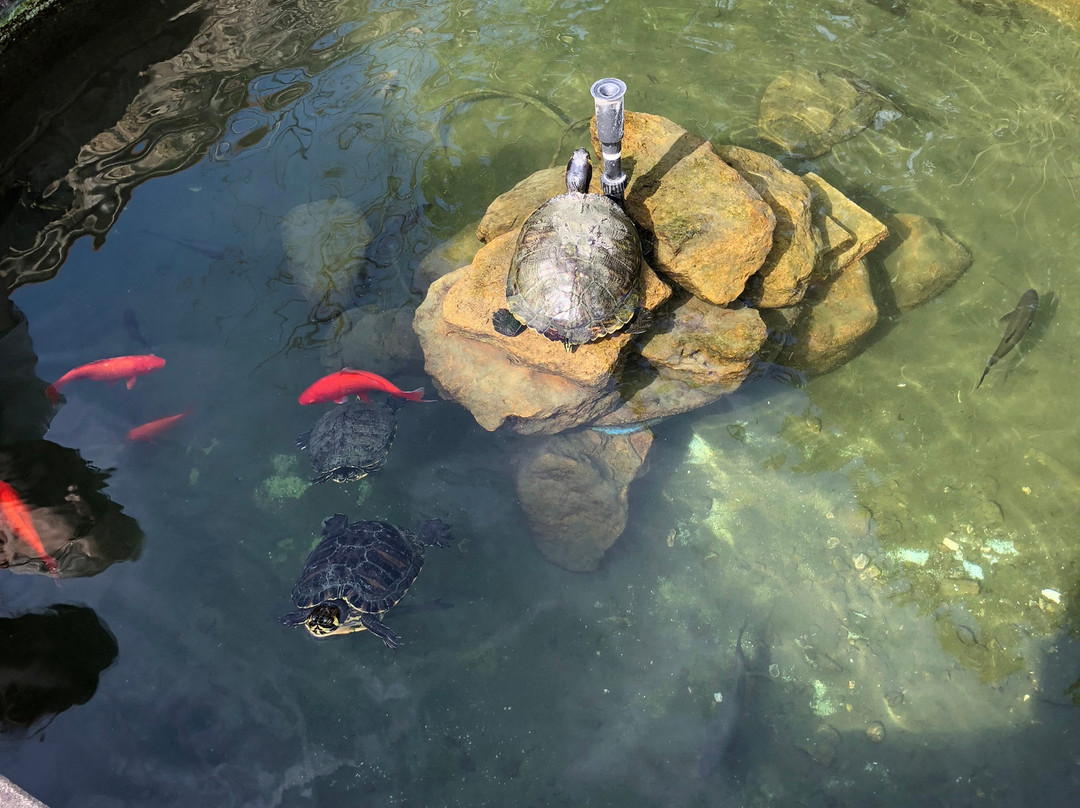 Il Vecchio Mulino Hotel主图