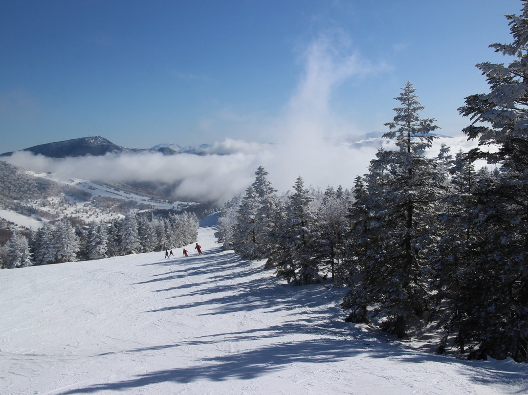 Shiga Kogen Ski Area景点图片