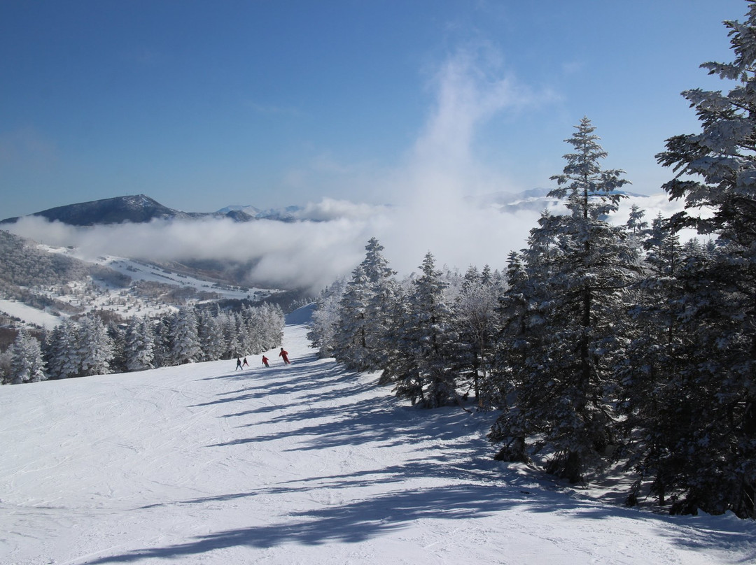 Shiga Kogen Ski Resort-山之内町必去景点