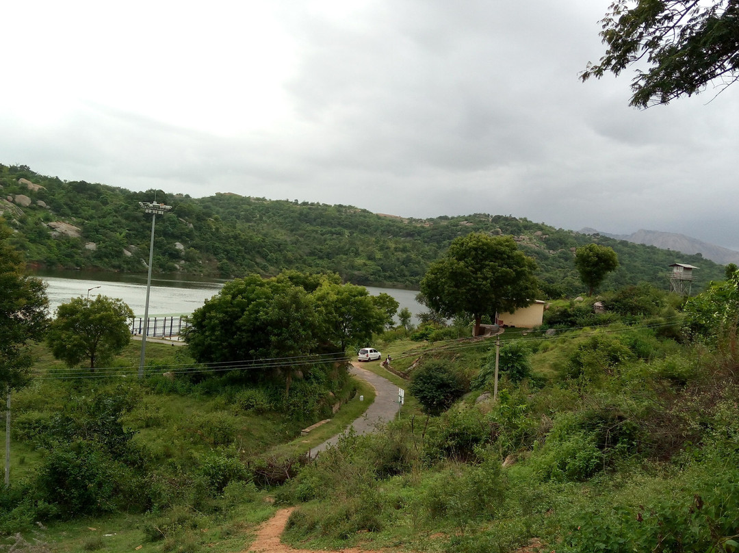 Manchanabele Dam景点图片