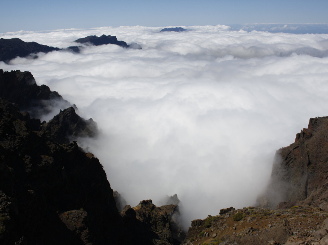 Canarias Nature Guides景点图片