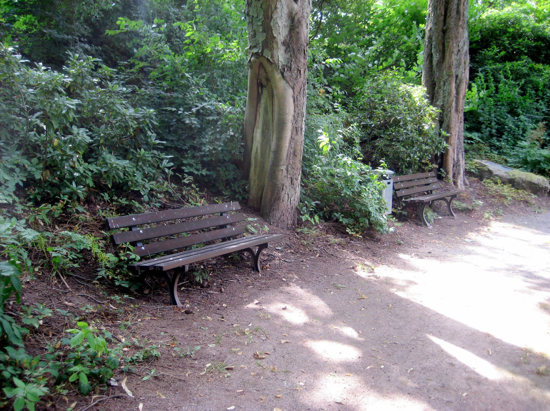 Neufferpark-Pirmasens必去景点