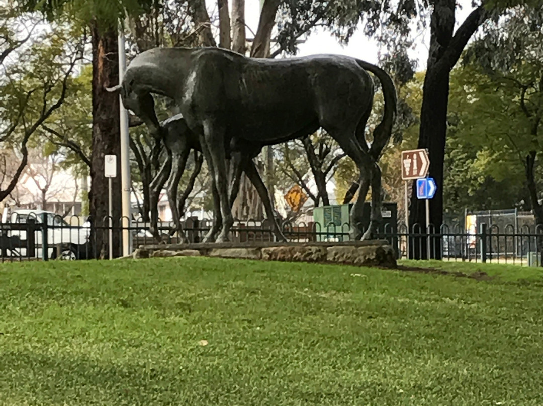 Elizabeth Park景点图片