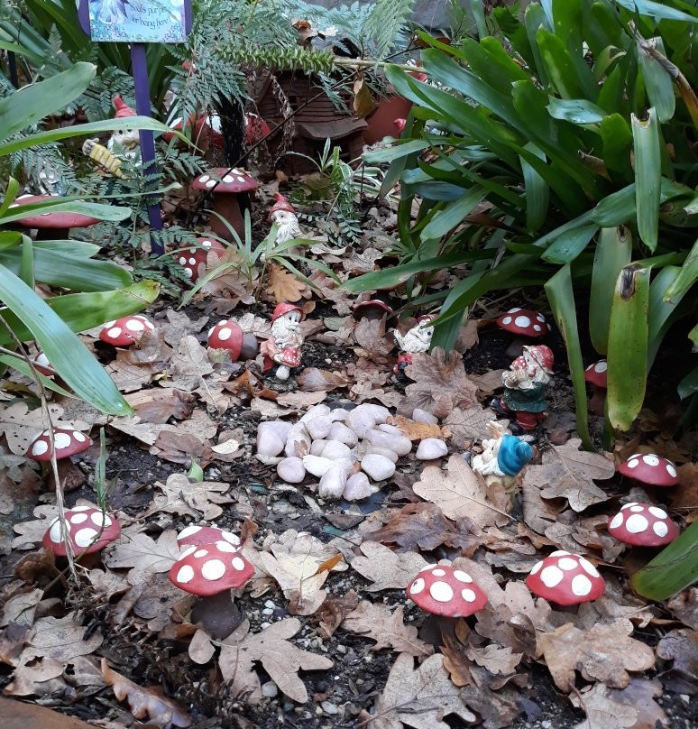 Swellendam fairy sanctuary-斯韦伦丹必去景点