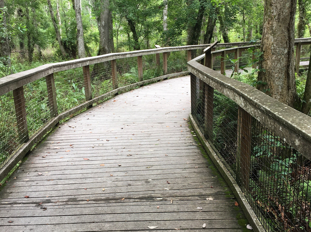 Brooker Creek Preserve-塔彭斯普林斯必去景点