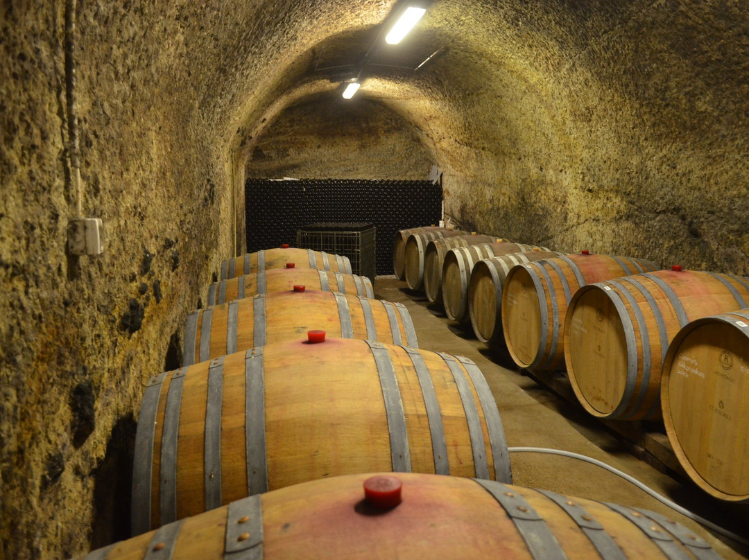 St. Andrea Pinceszet Winery景点图片