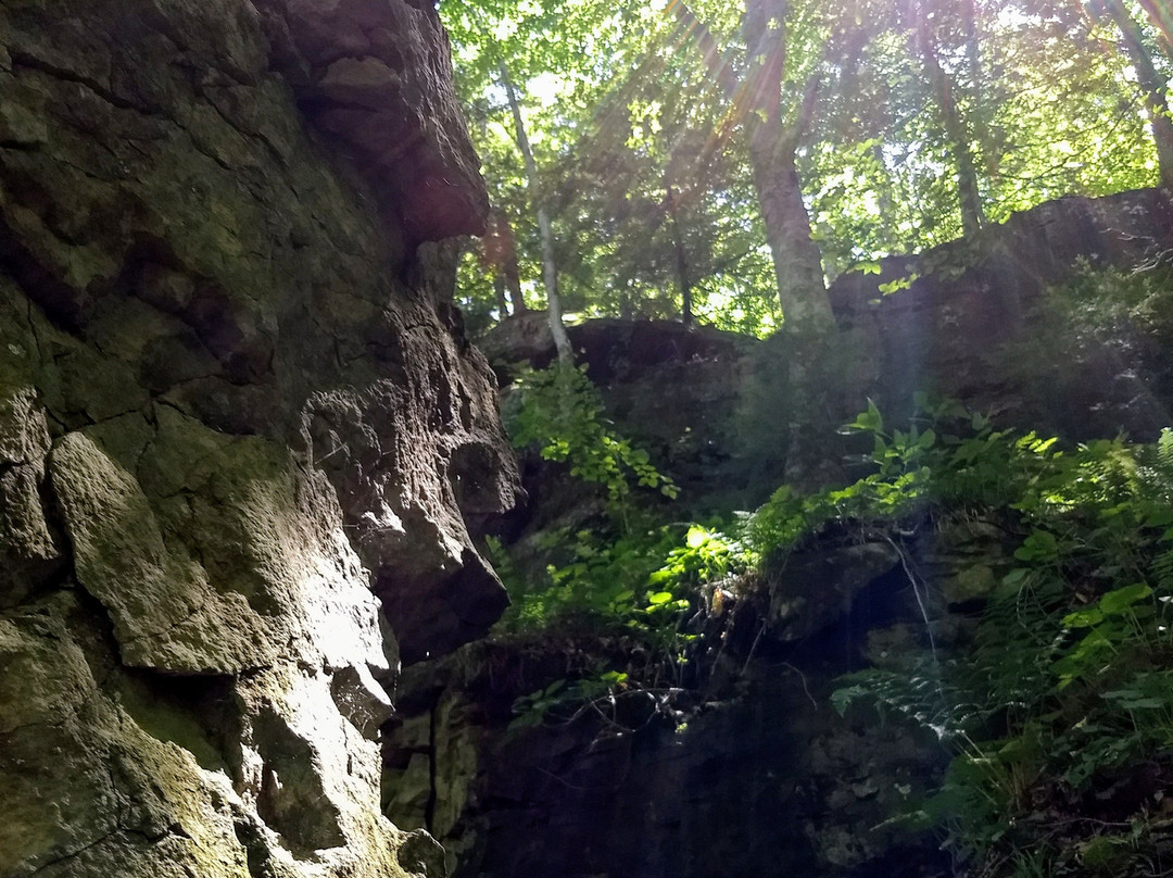 Hemlock Cliffs in Hoosier National Forest景点图片