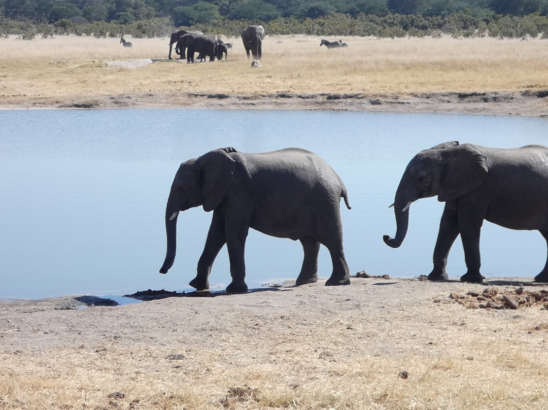 Elephants Eye Lodge主图