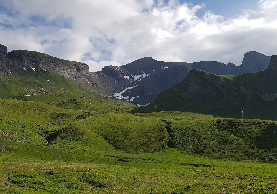 Schwarzhorn