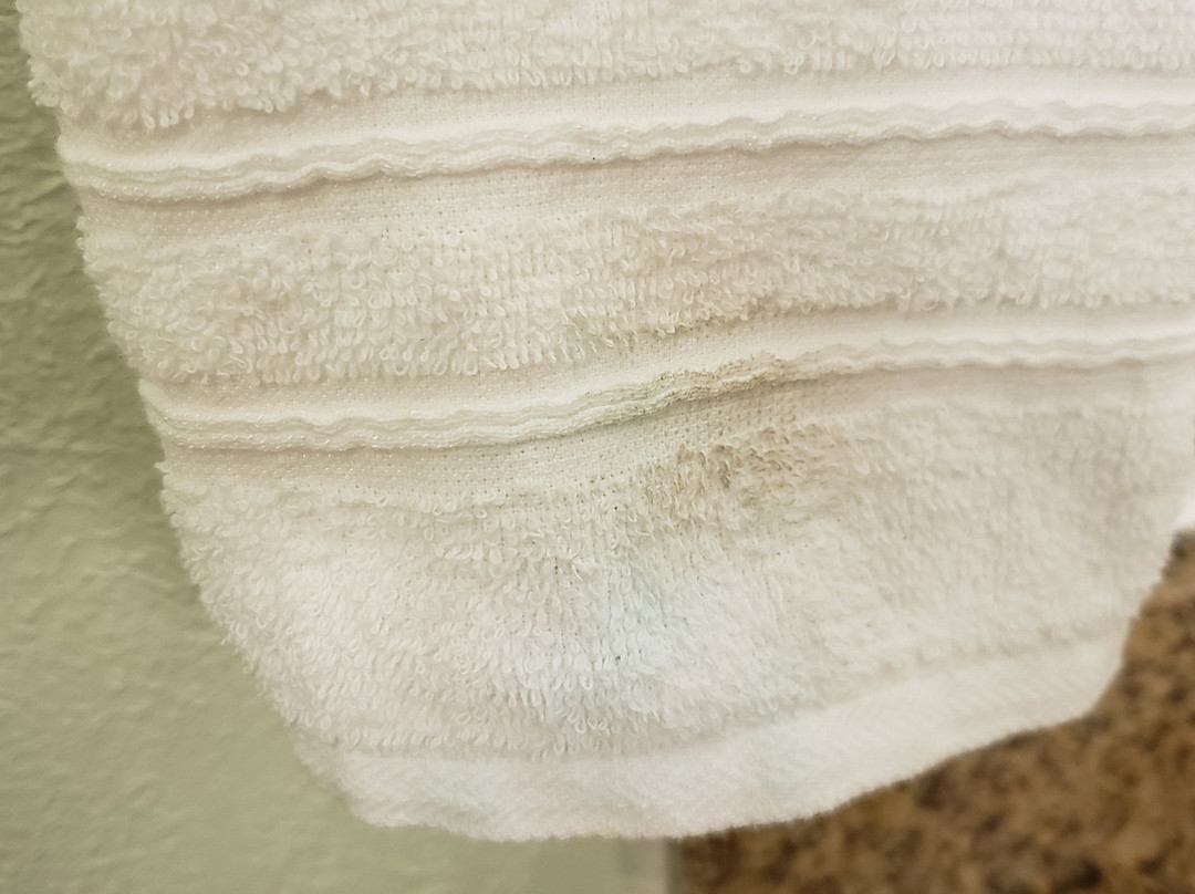 南波士顿快捷假日酒店主图