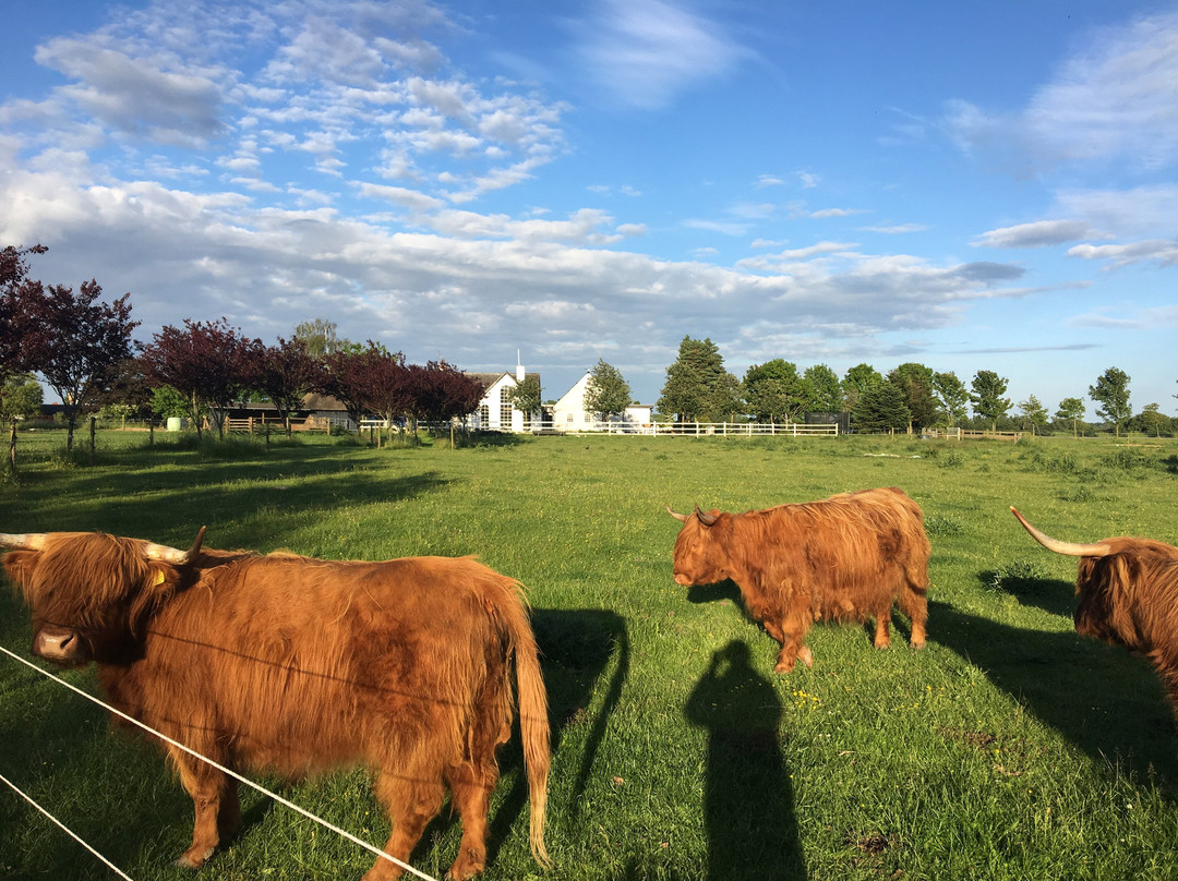 Lystrup酒店住宿-Troldegaarden Guesthouse