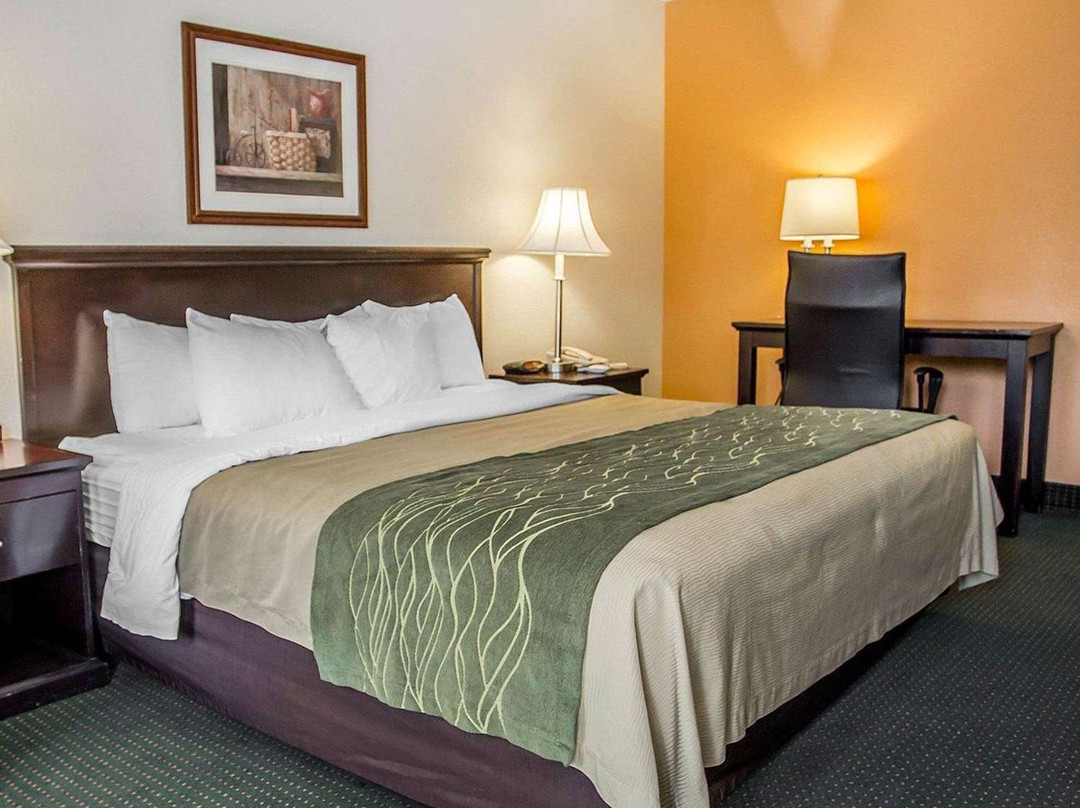 大学康福特茵酒店主图