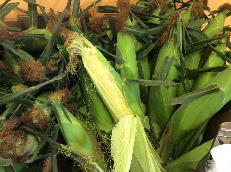 Gieringer's Family Orchard & Berry Farm-Edgerton必去景点