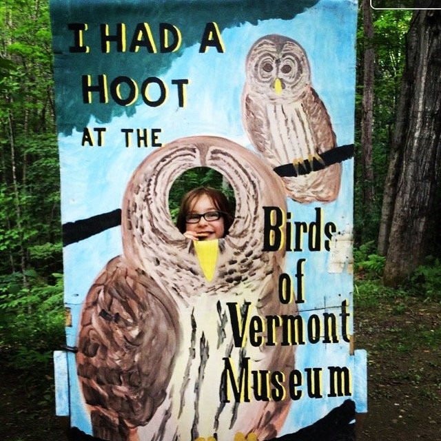 Birds of Vermont Museum景点图片