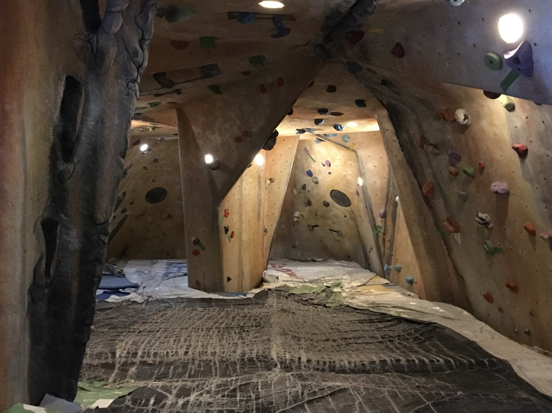 Cliffhanger Climbing Gym-阿尔托纳必去景点