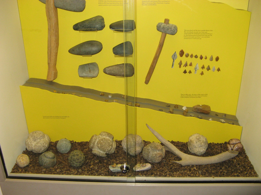 Elgin Museum-埃尔金必去景点