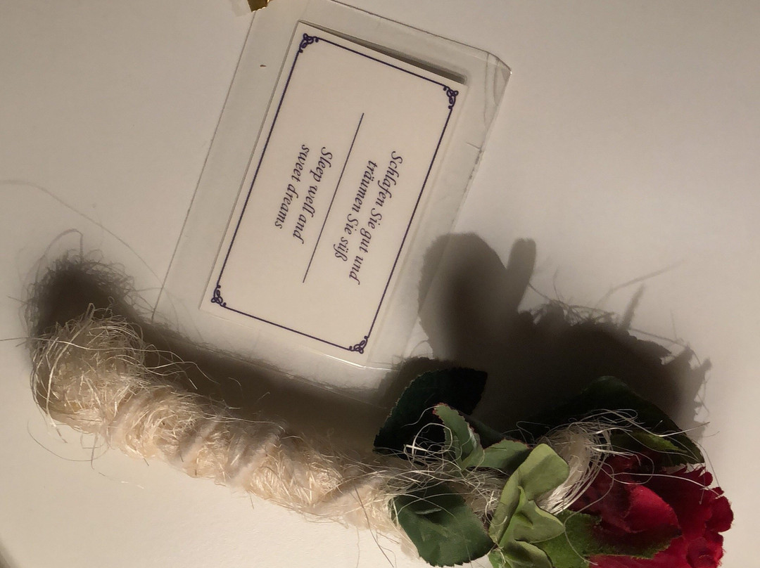 Hotel Garni Zum Grunen Baum主图