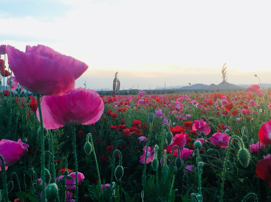 Michi-no-Eki Kasaoka Bay Farm-笠冈市必去景点