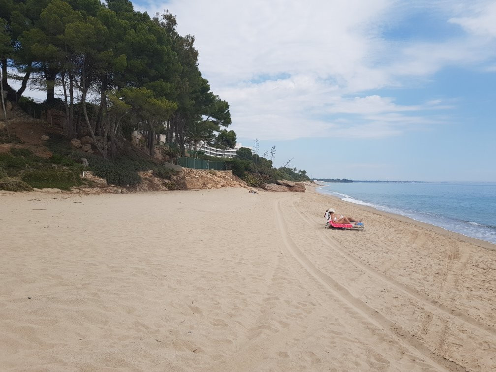 Cala de los Vieneses景点图片