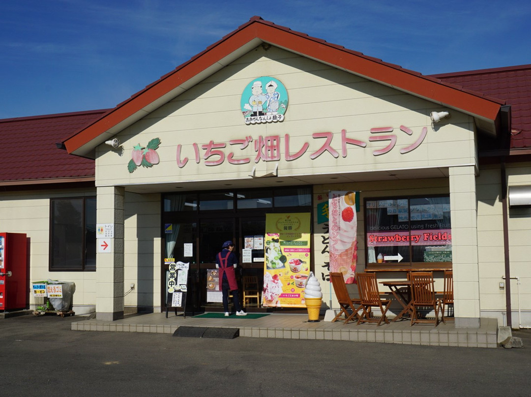JA Hagano Mashiko Strawberry Picking-益子町必去景点