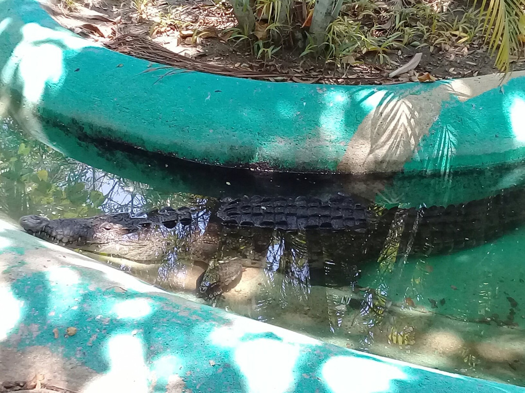 Parque Papagayo-阿卡普尔科必去景点