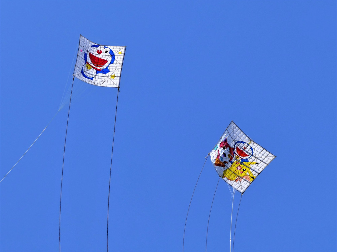 Sagami Odako Festival-相模原市必去景点