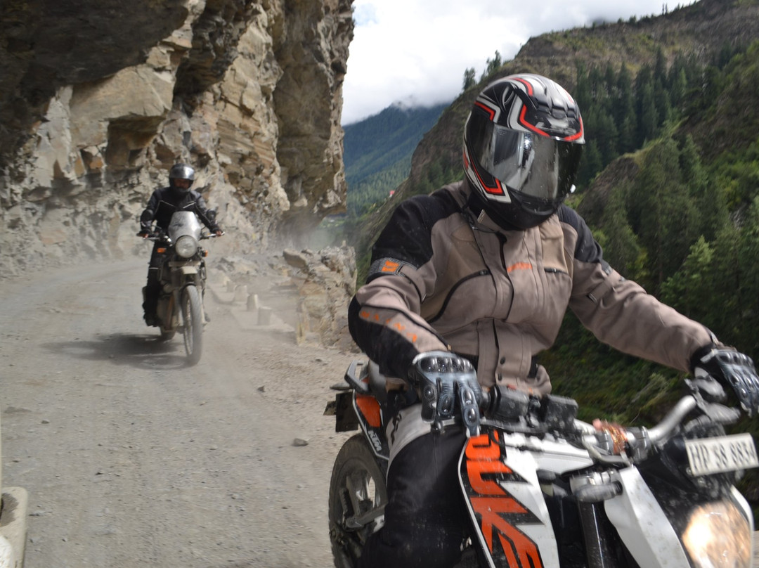Black Sheep Motto Adventures景点图片
