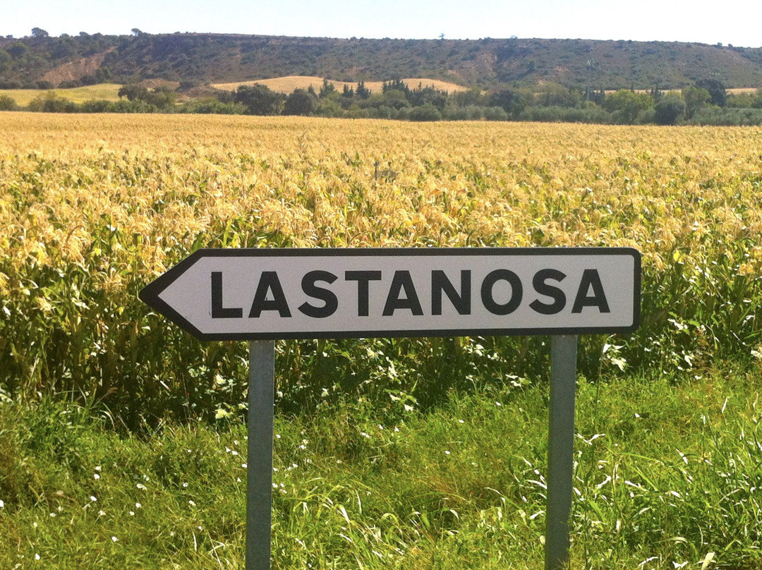 Los Chicos de Lastanosa主图