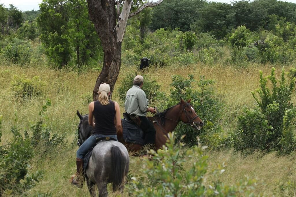 Hwange Horseback Safaris景点图片