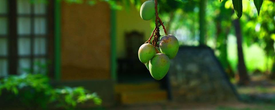 巨石场度假酒店主图