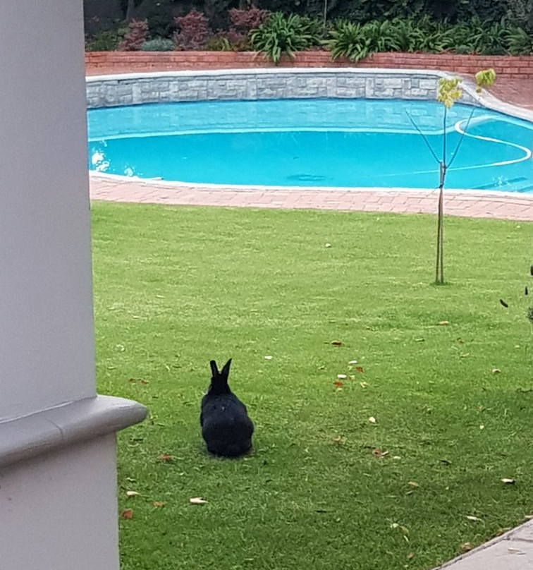 Bergliot Guest House主图