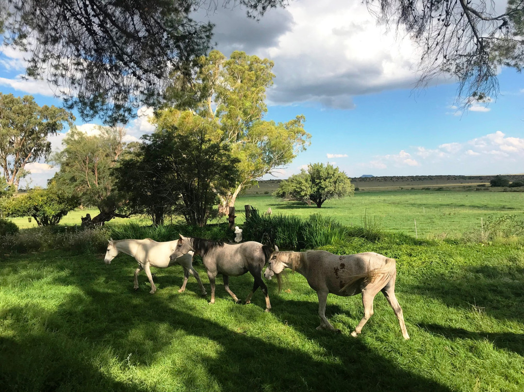 Garingboom Guest Farm主图