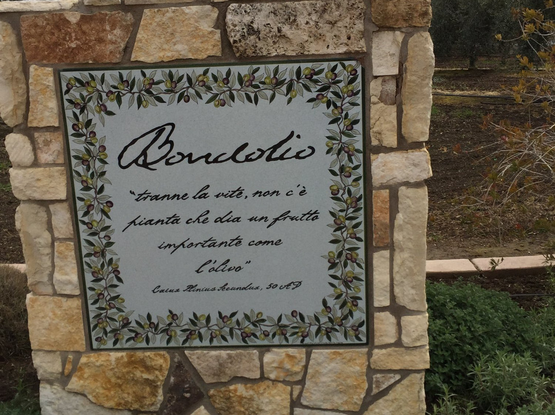 Bondolio Olive Oil Farm-Winters必去景点