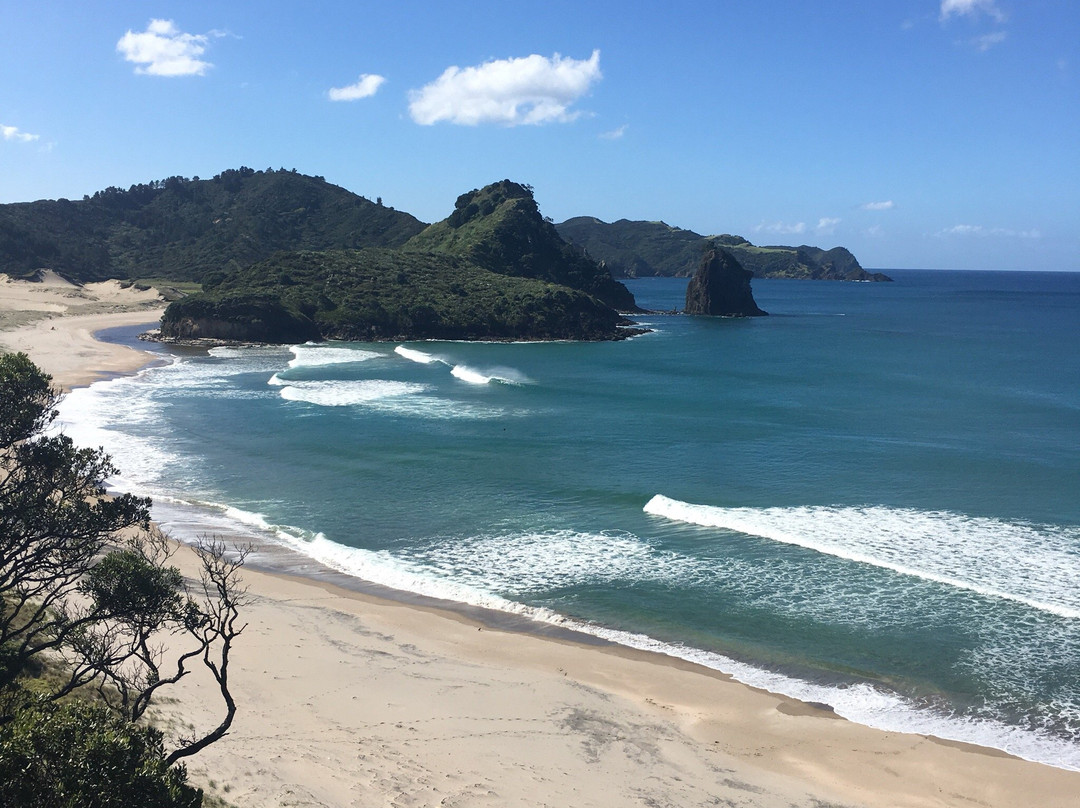 Go Great Barrier Island - Day Tours-Great Barrier Island必去景点