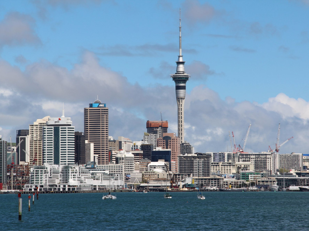 Cyril Bassett Lookout CV-德文波特必去景点