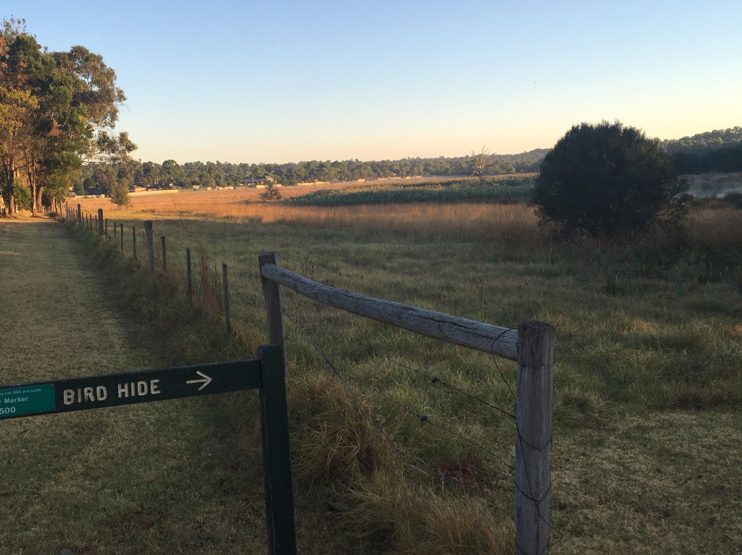 Bushy Park Wetlands景点图片