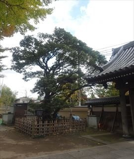 Shogetsuin-板桥区必去景点