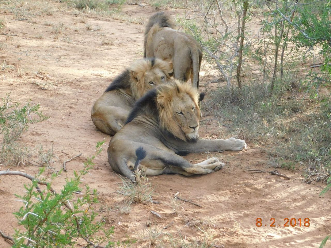 卡帕玛河山林小屋主图