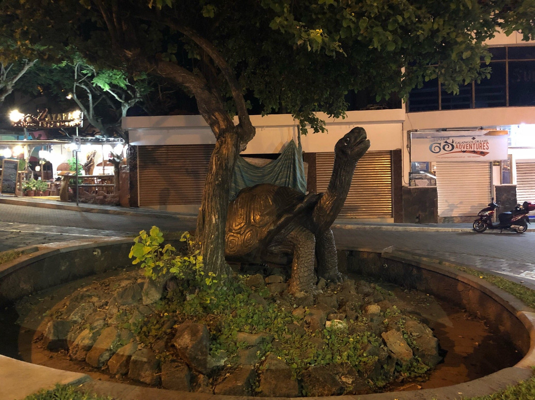 Monumento de la Tortuga-阿约拉港必去景点