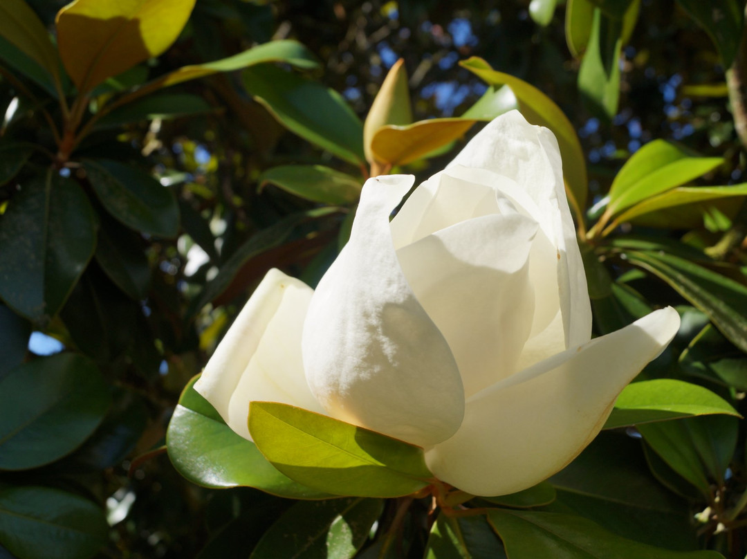 Les Luz Chambres d'hôtes - Bed and Breakfast主图