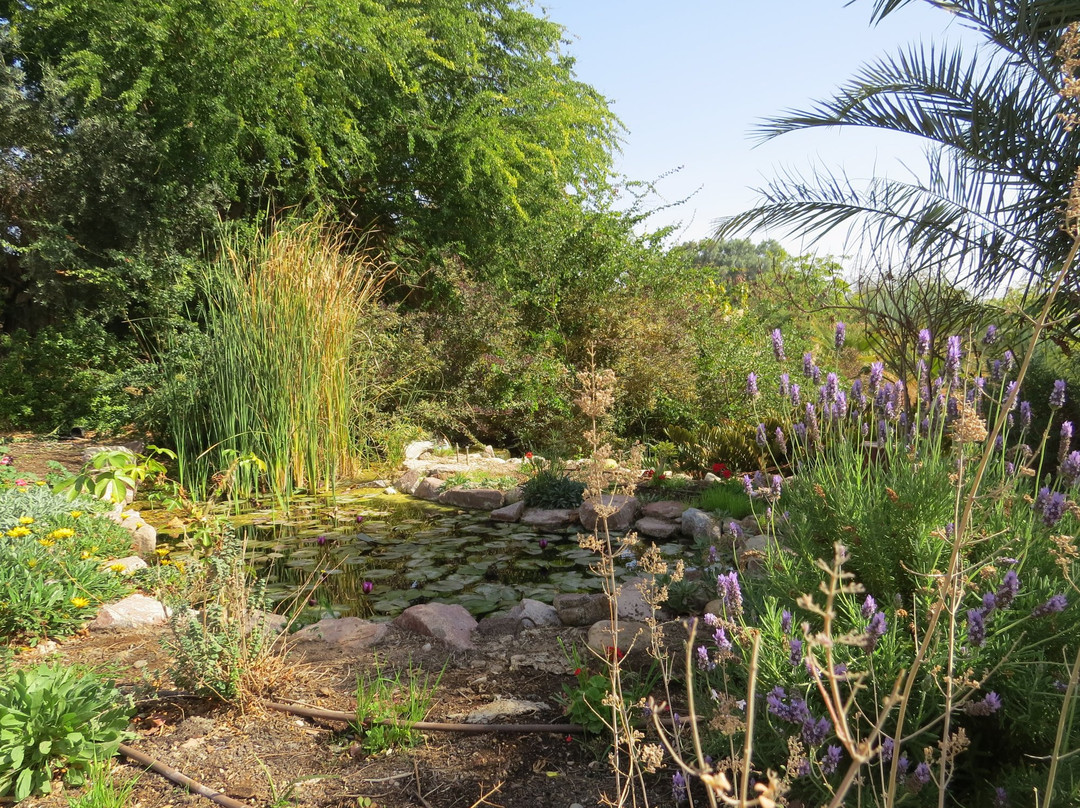 Botanical Garden Of Eilat景点图片
