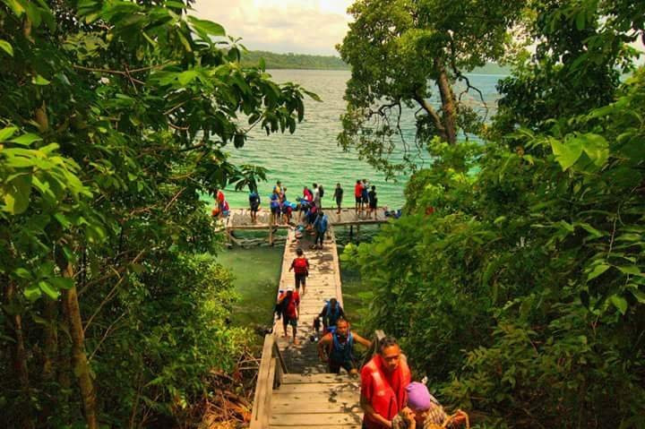Sting-less Jellyfish Lake-Pulau Kakaban必去景点