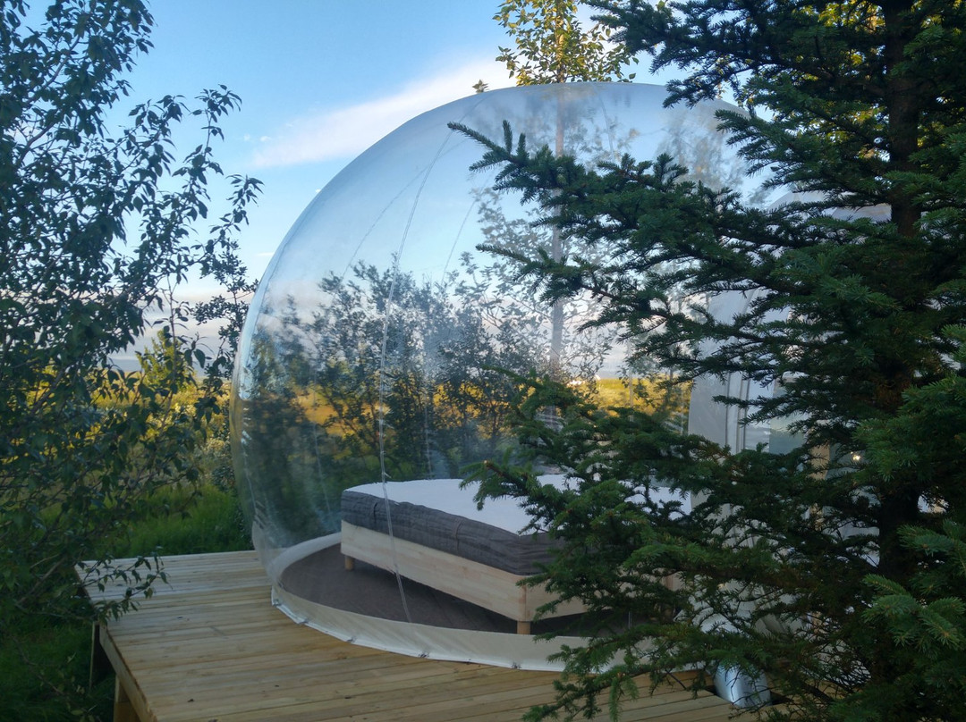 Buubble Tours-雷克雅未克必去景点