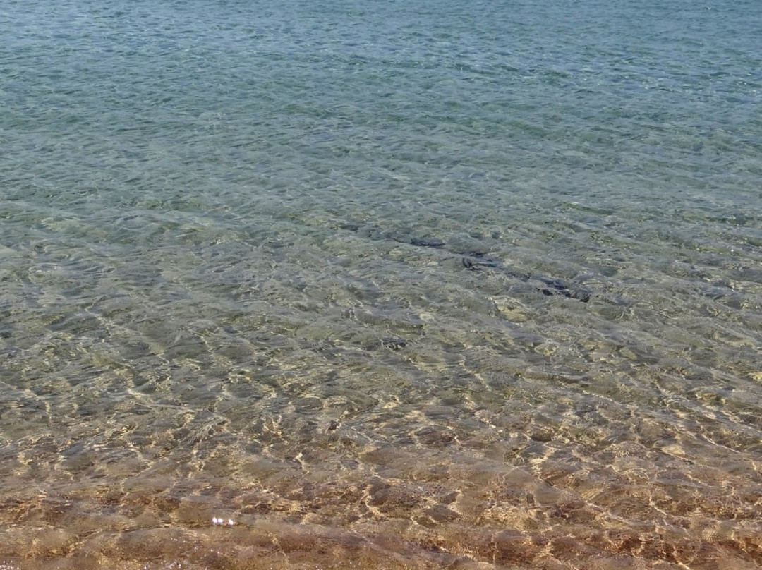 Spiaggia dell'Isola dei Gabbiani (Isuledda)景点图片
