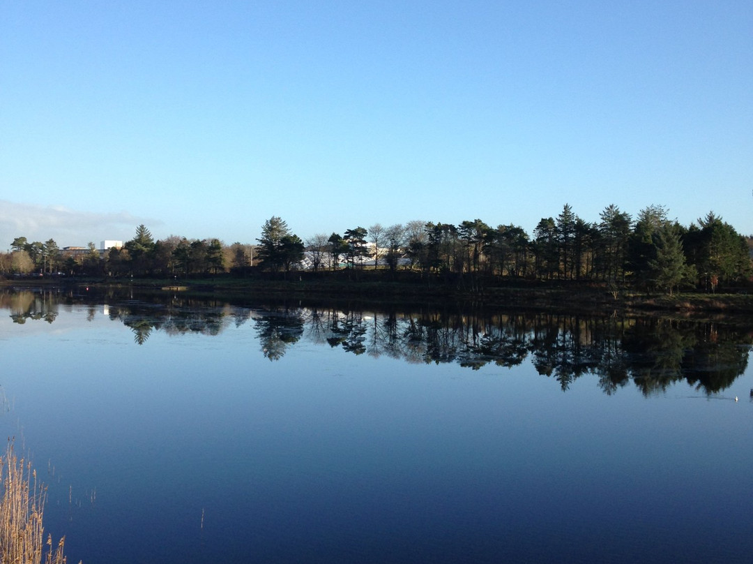 Lough Lannagh Holiday Village主图