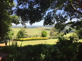 Indigo Fields Farm House and Spa主图