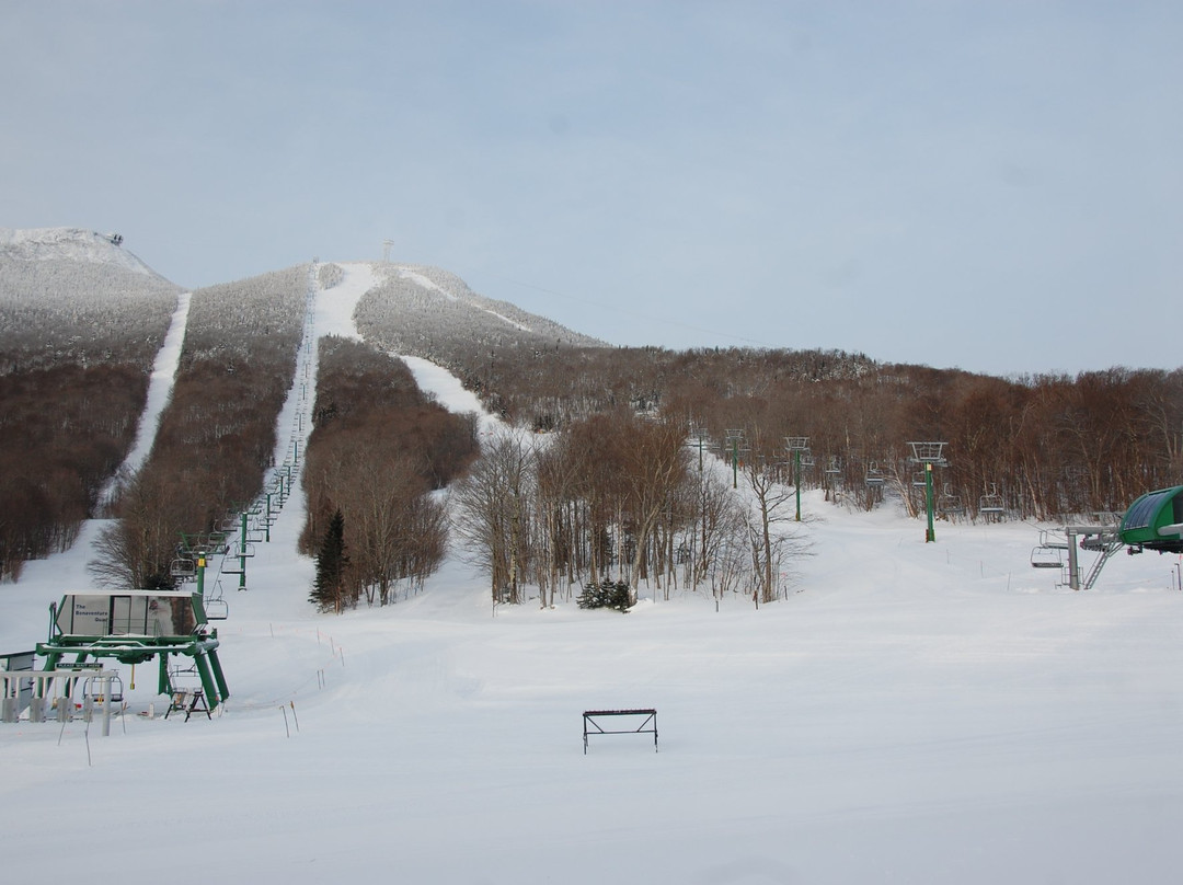 The New Stateside Hotel & Baselodge主图