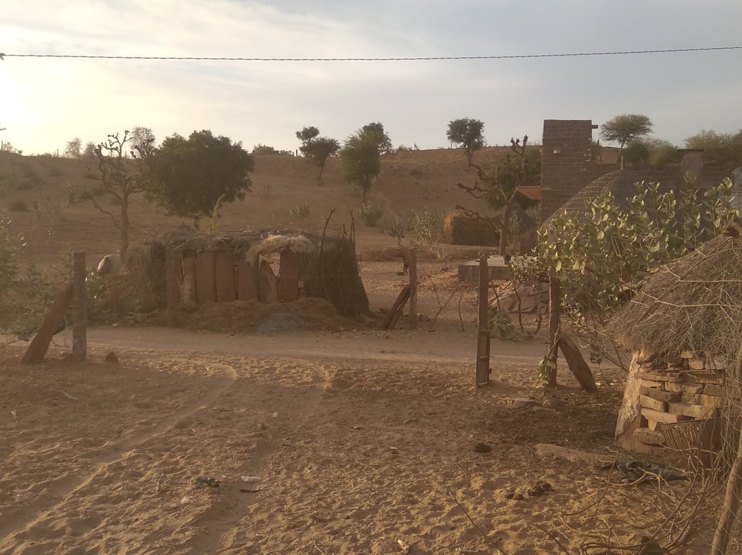 Jodhpur village jeep safari景点图片