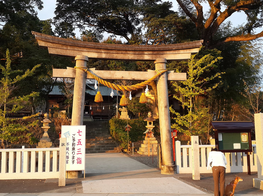 Shimanto City Tourism Association-四万十市必去景点